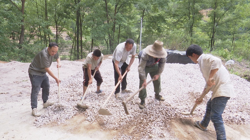 鎮(zhèn)寧沙子鄉(xiāng)：不忘“兵之初” 建功“兵支書”